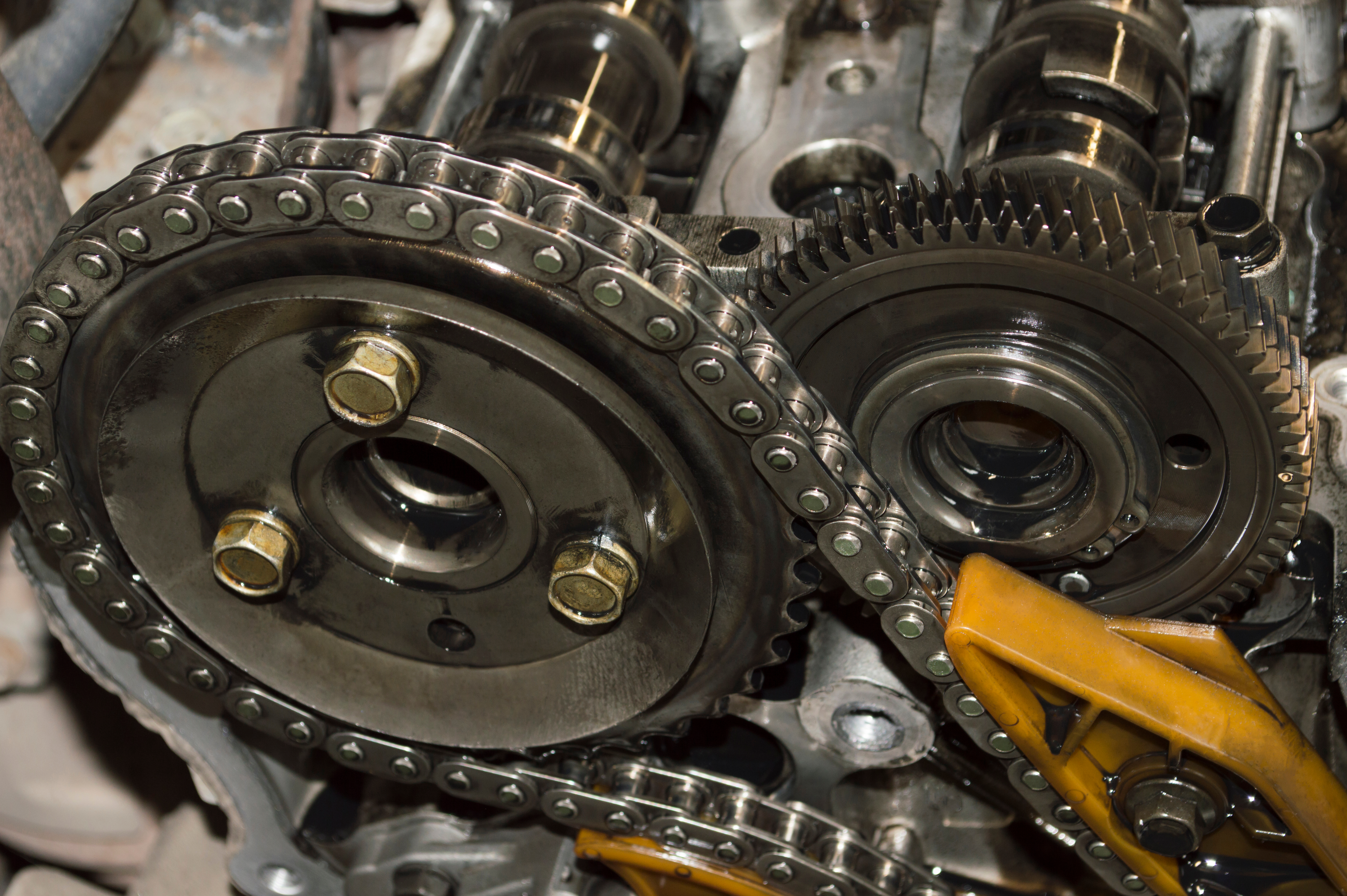 Timing chain car clearance list