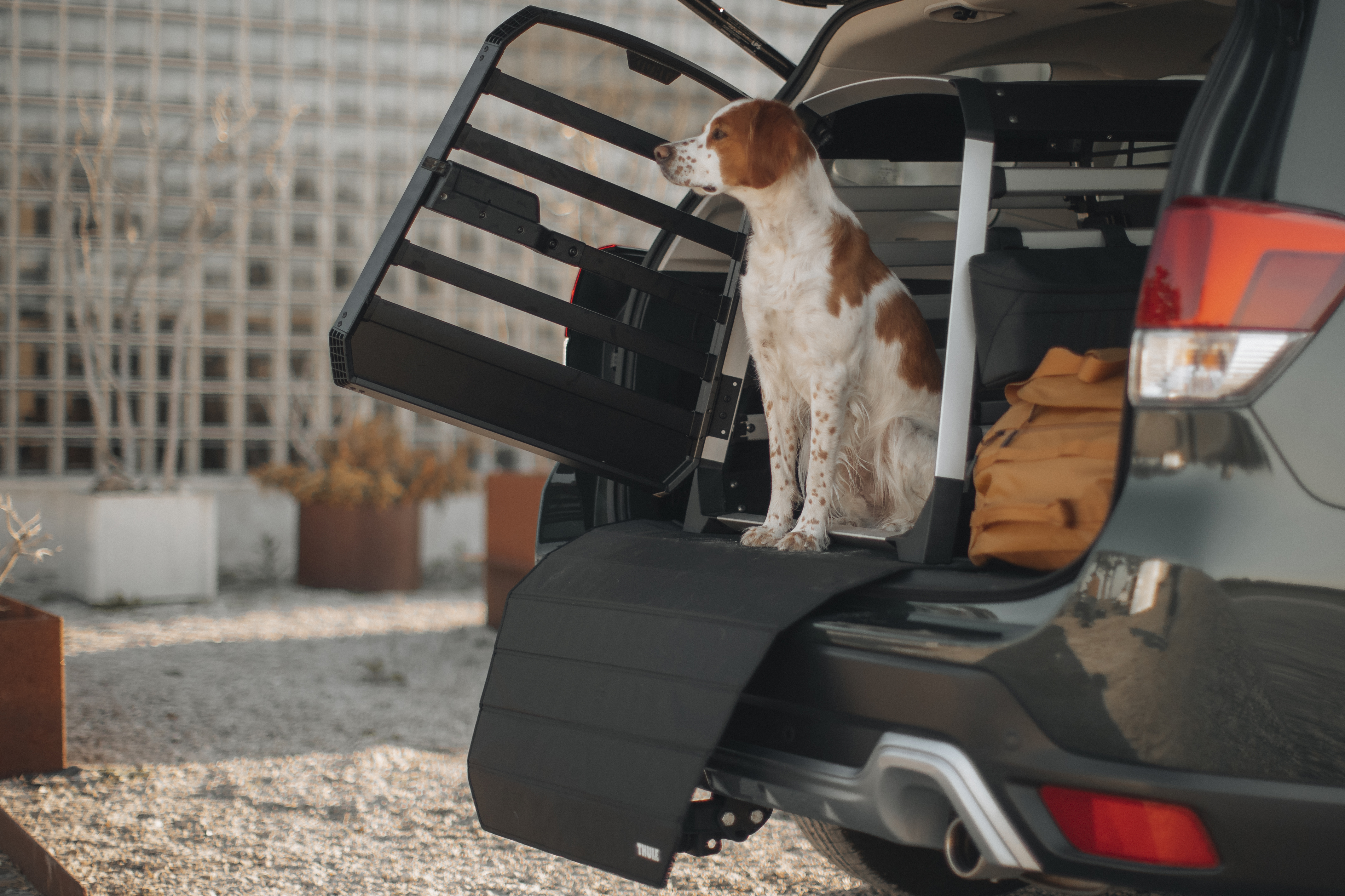 Thule launches range of dog crates for cars Everything else